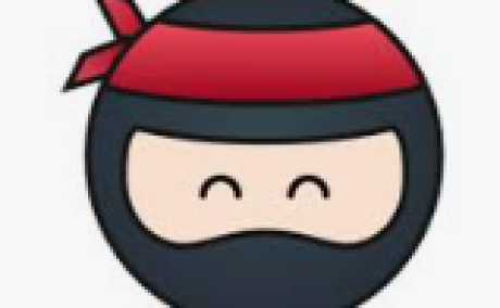 Rental ninja