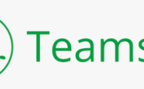 Teamsid