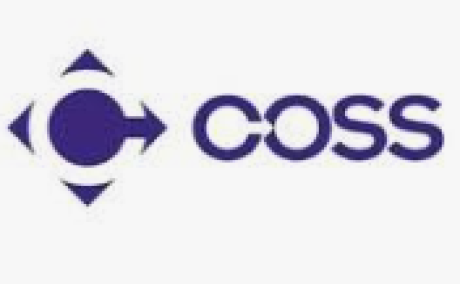 Coss erp