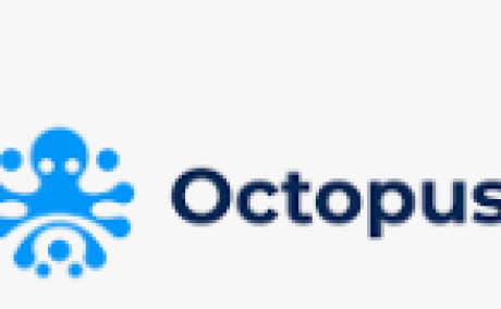 Octopus24