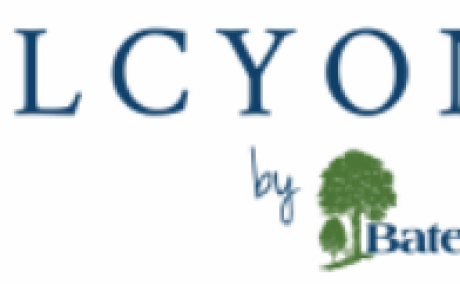 Halcyon Death Care